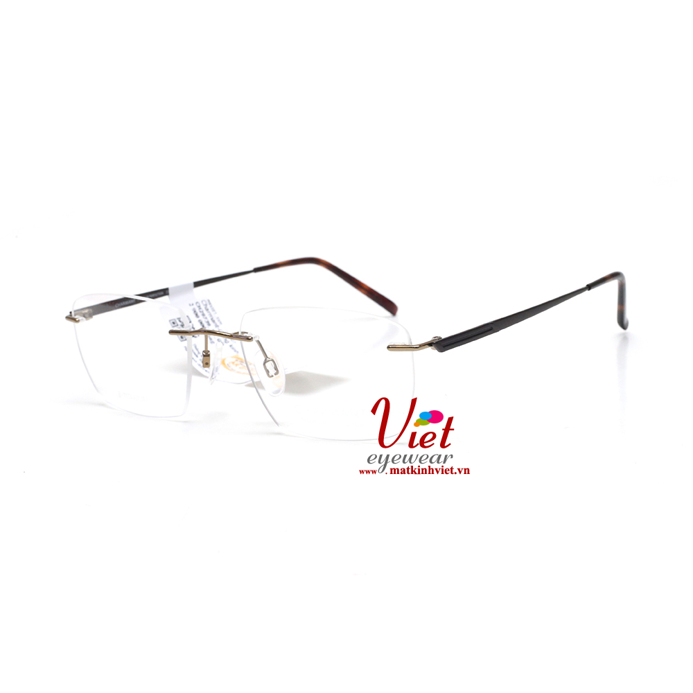 Gọng kính Charmant CH29739 GD